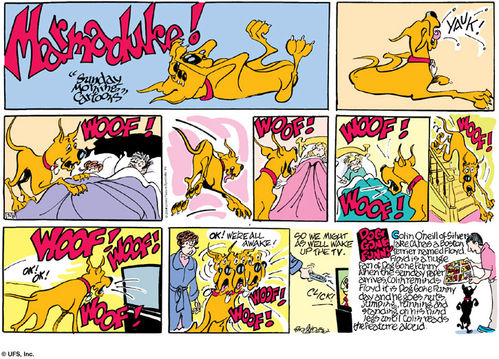 marmaduke
